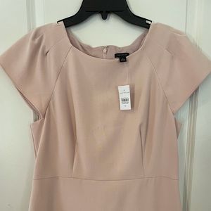 Ann Taylor blush cap sleeve dress size 10